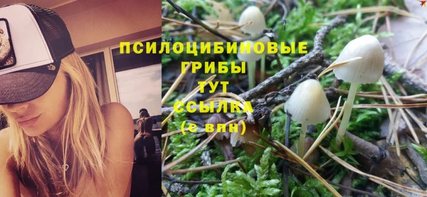 прущая мука Верхний Тагил