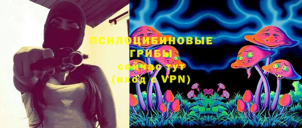прущая мука Верхний Тагил