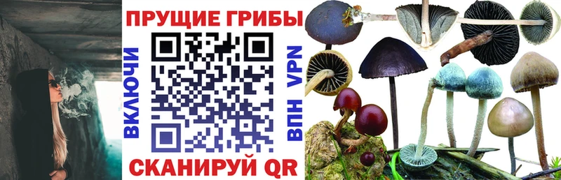 Псилоцибиновые грибы MAGIC MUSHROOMS  Купить закладки  Исилькуль 